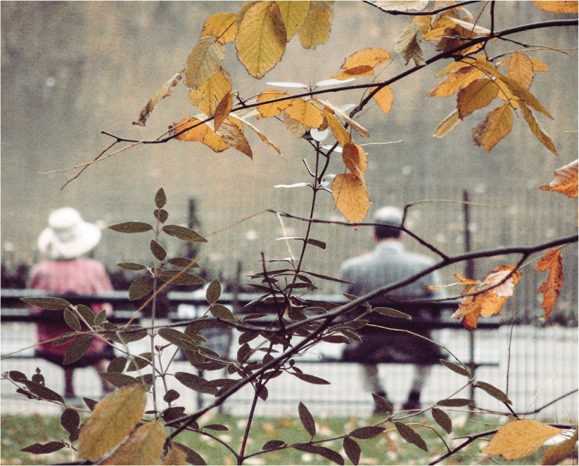 NY photography, americana photography, tree branch, man, woman, sitting on bench